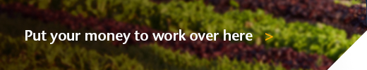 Learn more about Investment Accounts Put your money to work this way